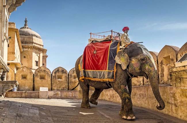 places to visit in jaipur near nazarbagh palace